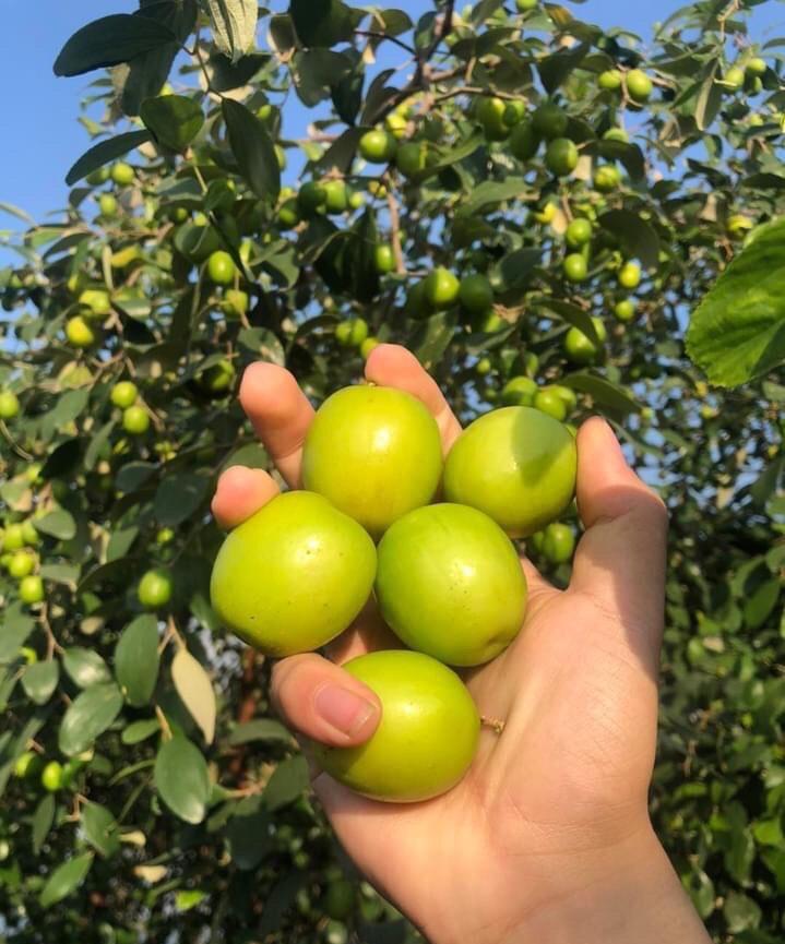 323924569_1139040963479780_2726939495481324310_n