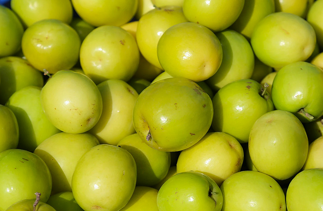 -3389-1732271530_1200x0